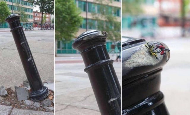 Interesting Finds And Discoveries (16 pics)