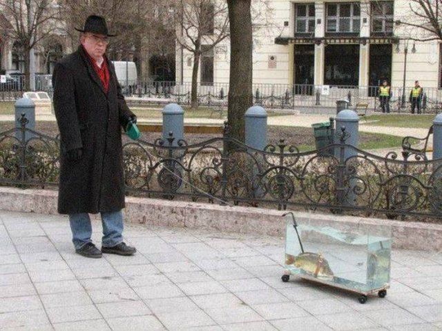 What Is Going On Here? (51 pics)