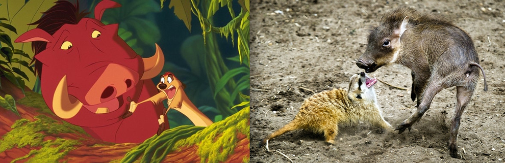 Cartoon Characters In Real Life (21 pics)
