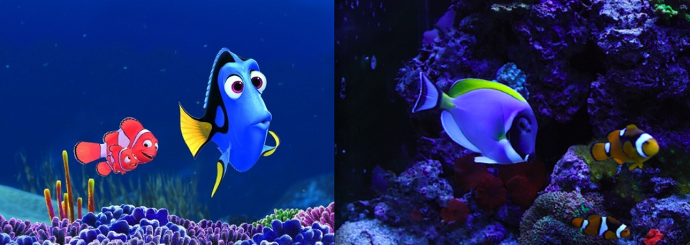 Cartoon Characters In Real Life (21 pics)