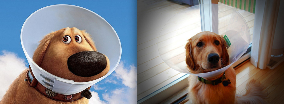 Cartoon Characters In Real Life (21 pics)