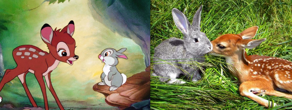 Cartoon Characters In Real Life (21 pics)