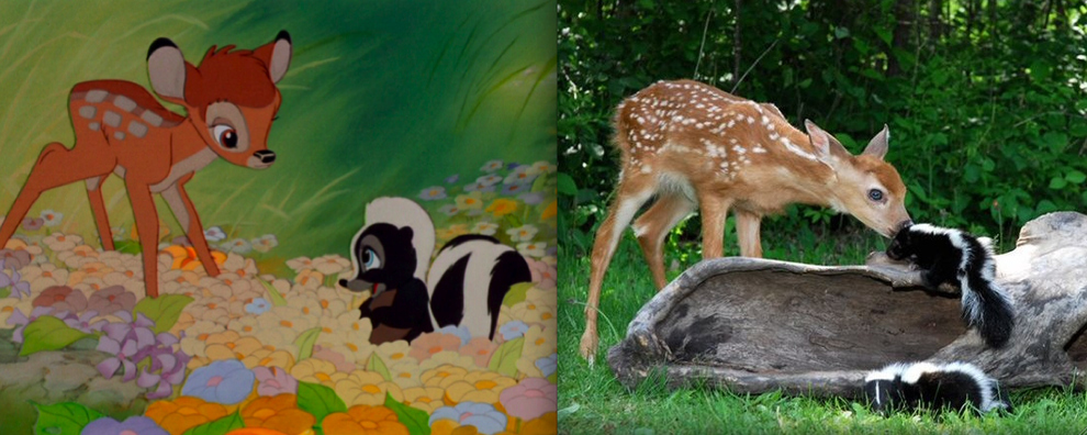 Cartoon Characters In Real Life (21 pics)
