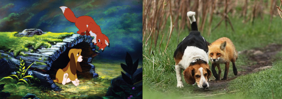 Cartoon Characters In Real Life (21 pics)