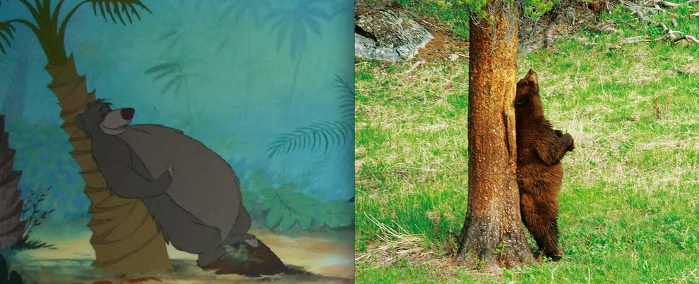 Cartoon Characters In Real Life (21 pics)