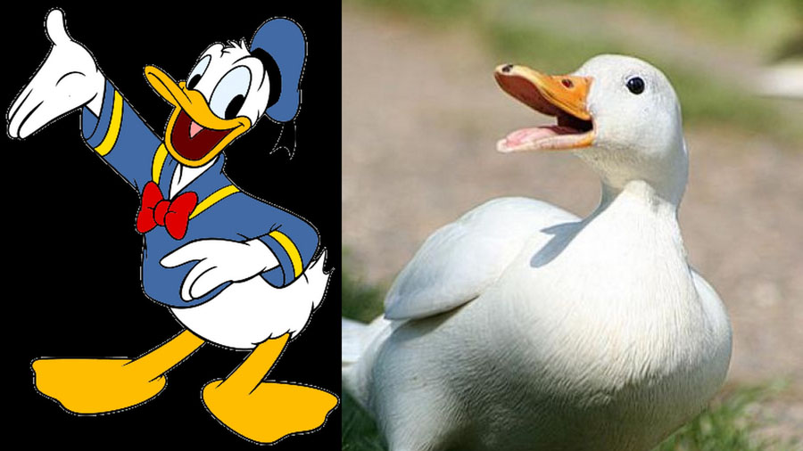 Cartoon Characters In Real Life (21 pics)