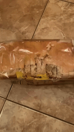 Acid GIFs, January 18 (25 gifs)