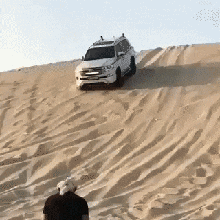 Acid GIFs, January 18 (25 gifs)