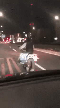 Acid GIFs, January 18 (25 gifs)