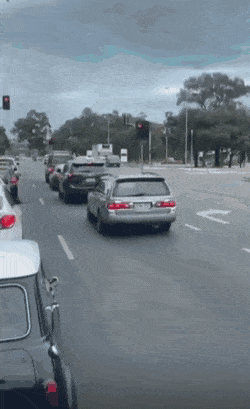 Acid GIFs, January 18 (25 gifs)