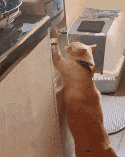 Acid GIFs, January 18 (25 gifs)