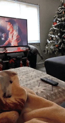 Acid GIFs, January 18 (25 gifs)