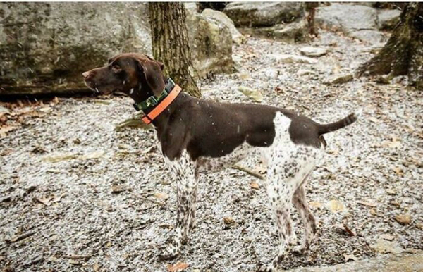 Perfect Disguise (21 pics)