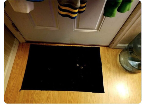Perfect Disguise (21 pics)