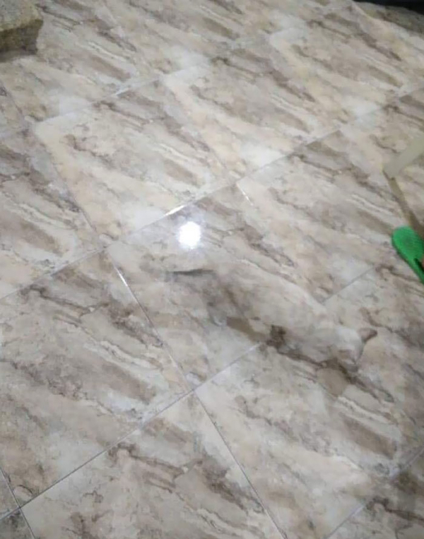 Perfect Disguise (21 pics)
