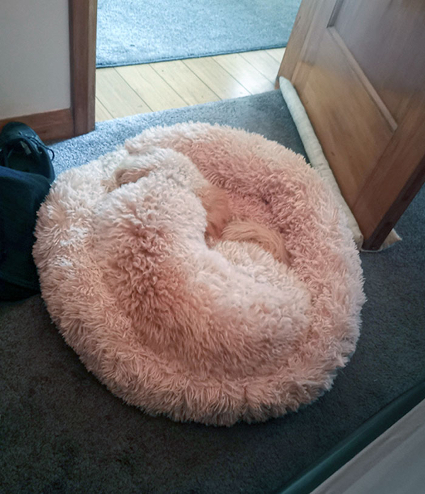 Perfect Disguise (21 pics)