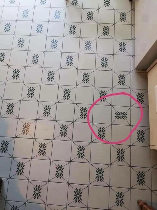 Construction Fails (22 pics)