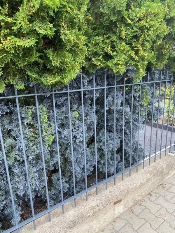 Construction Fails (22 pics)