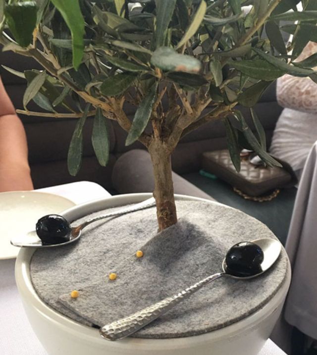 Weird Food Serving (19 pics)