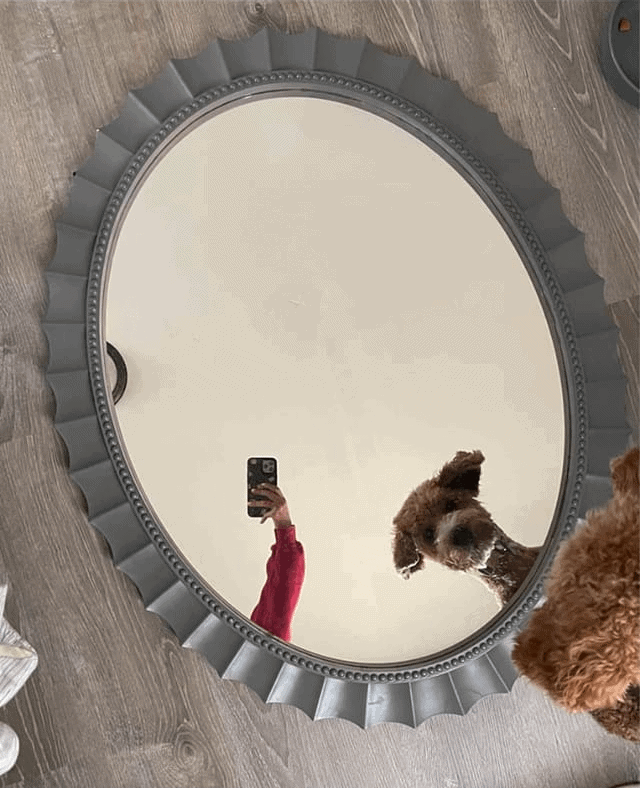 People Try To Sell Mirrors (15 pics)