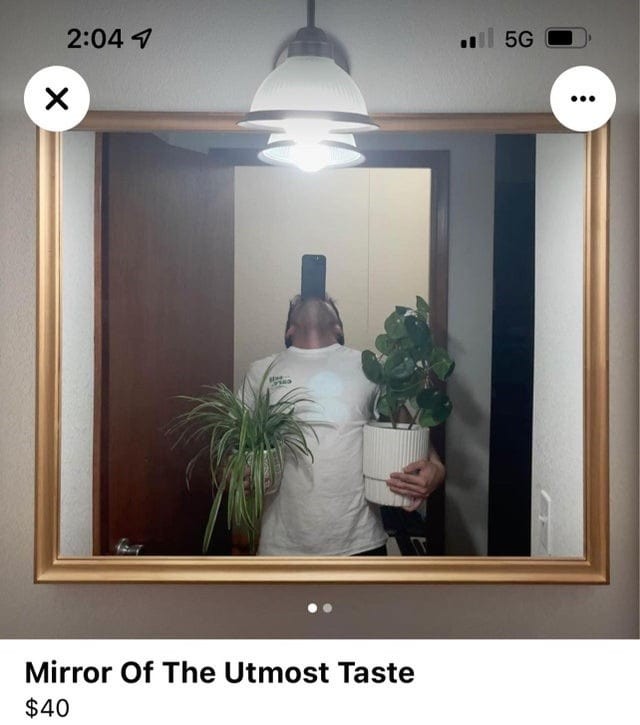 People Try To Sell Mirrors (15 pics)