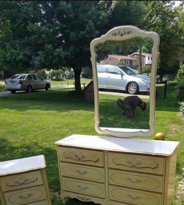 People Try To Sell Mirrors (15 pics)