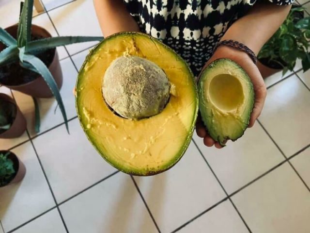 Huge Finds (37 pics)