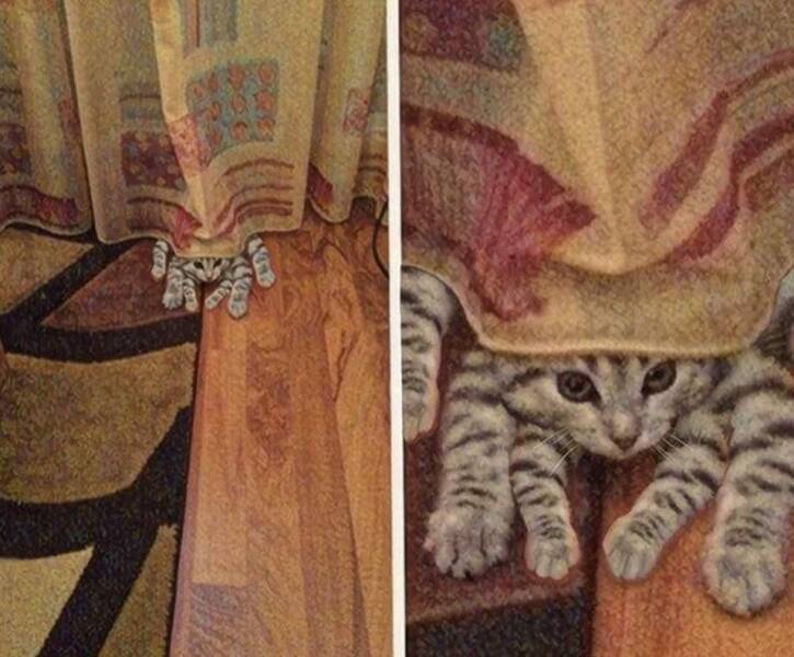 Daily Pictures. Part 2 (71 pics)