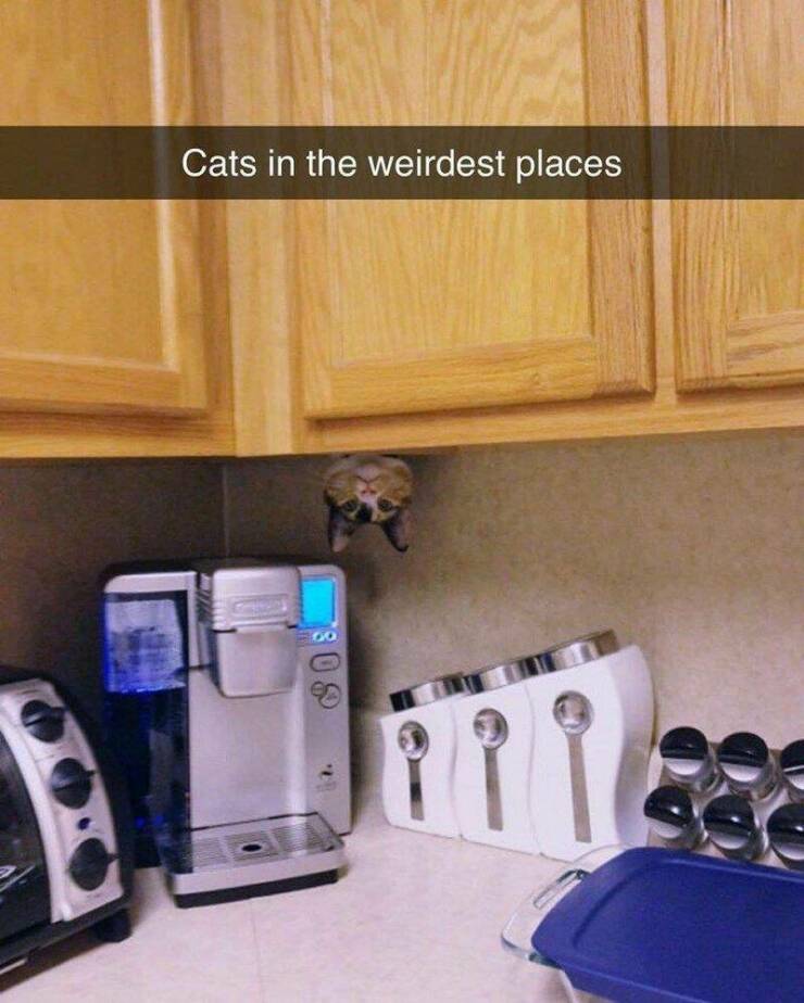 Daily Pictures. Part 1 (72 pics)