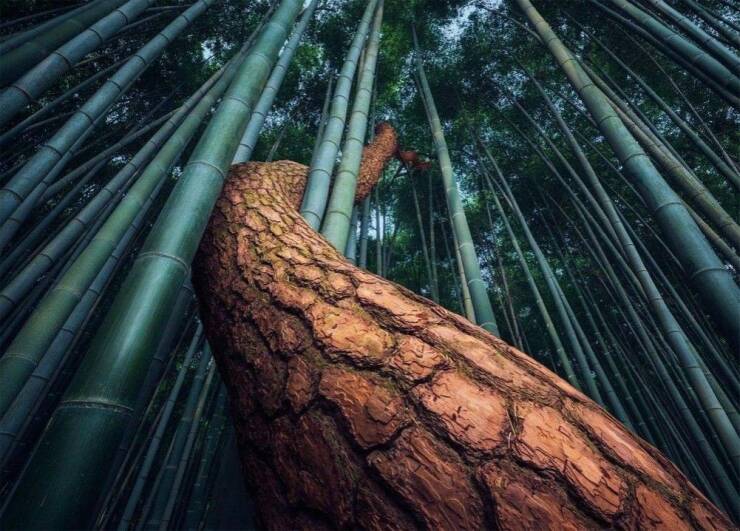Daily Pictures. Part 1 (72 pics)