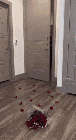 Acid GIFs, January 23 (25 gifs)