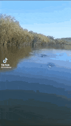 Acid GIFs, January 23 (25 gifs)