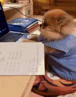 Acid GIFs, January 23 (25 gifs)