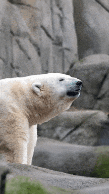 Acid GIFs, January 23 (25 gifs)