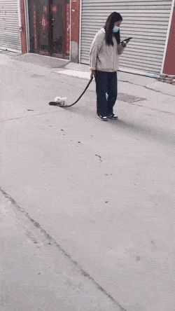 Acid GIFs, January 23 (25 gifs)