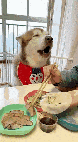 Acid GIFs, January 23 (25 gifs)
