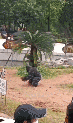 Acid GIFs, January 23 (25 gifs)