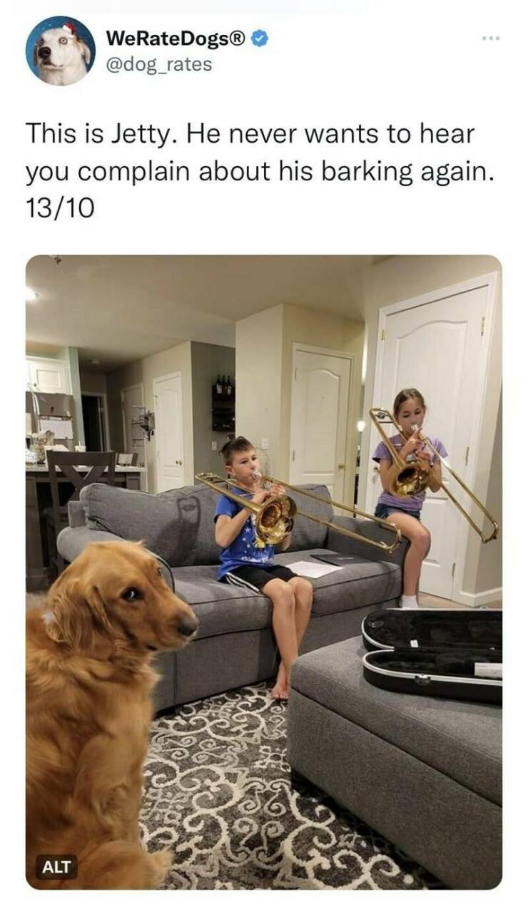 Daily Pictures. Part 2 (74 pics)