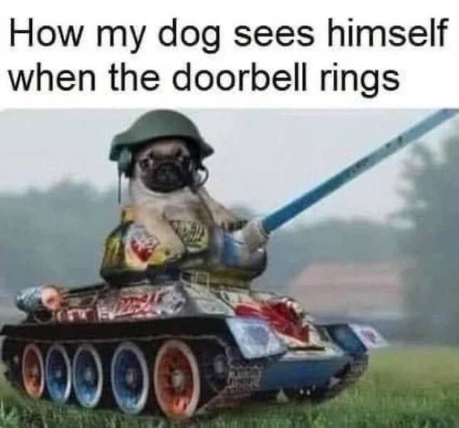 Daily Pictures. Part 2 (74 pics)