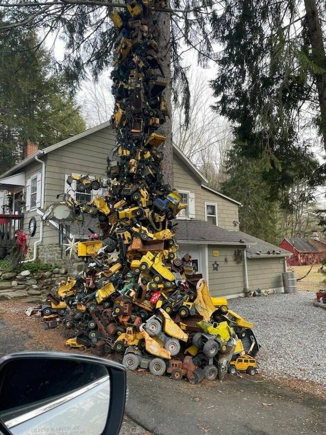 What Is Going On Here? (40 pics)