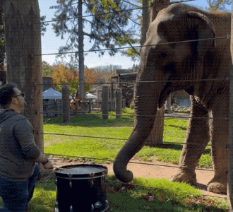 Acid GIFs, January 25 (25 gifs)