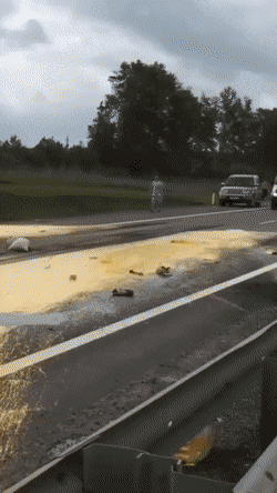 Acid GIFs, January 25 (25 gifs)