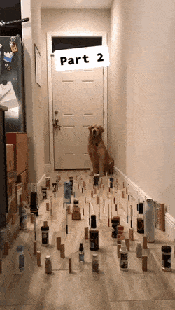 Acid GIFs, January 25 (25 gifs)