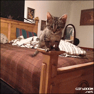 Acid GIFs, January 25 (25 gifs)