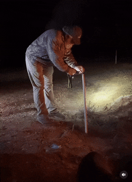 Acid GIFs, January 25 (25 gifs)