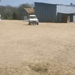 Acid GIFs, January 25 (25 gifs)