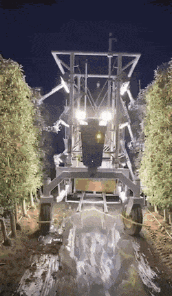 Acid GIFs, January 25 (25 gifs)