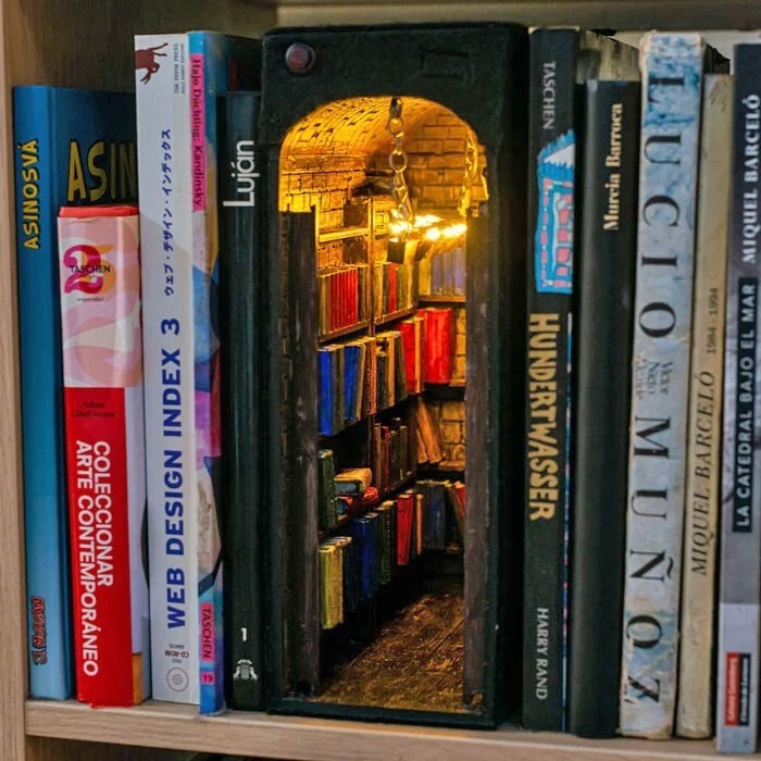 Cool Bookshelf Dividers (22 pics)