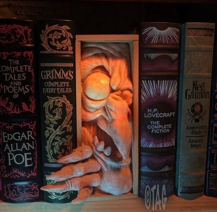 Cool Bookshelf Dividers (22 pics)