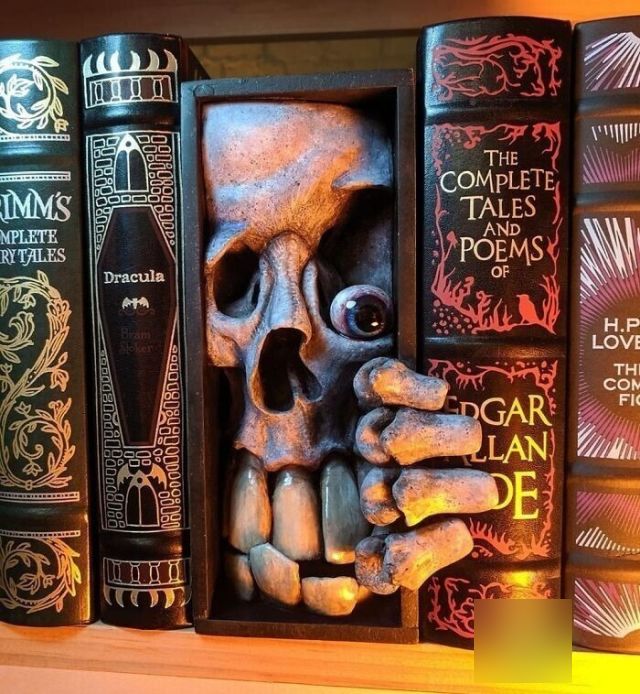 Cool Bookshelf Dividers (22 pics)